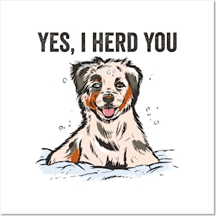 Yes I Herd You Funny Australian Shepherd Posters and Art